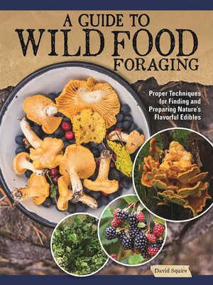 cover image of A Guide to Wild Food Foraging